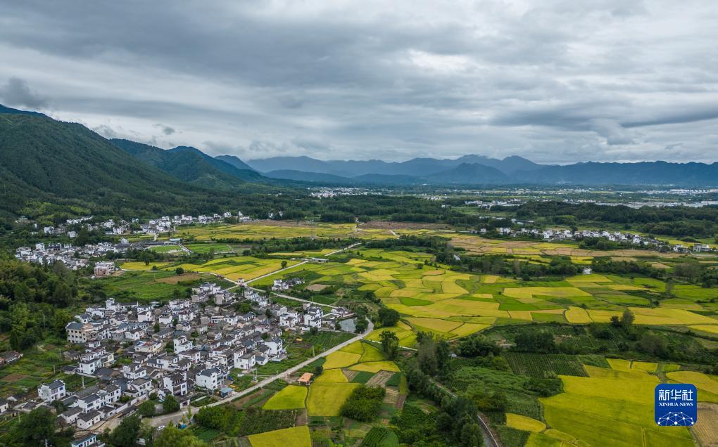 电子游戏注册送38现金